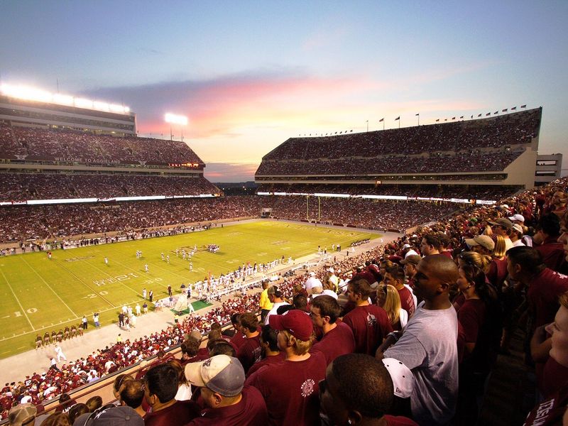 Students at a night game